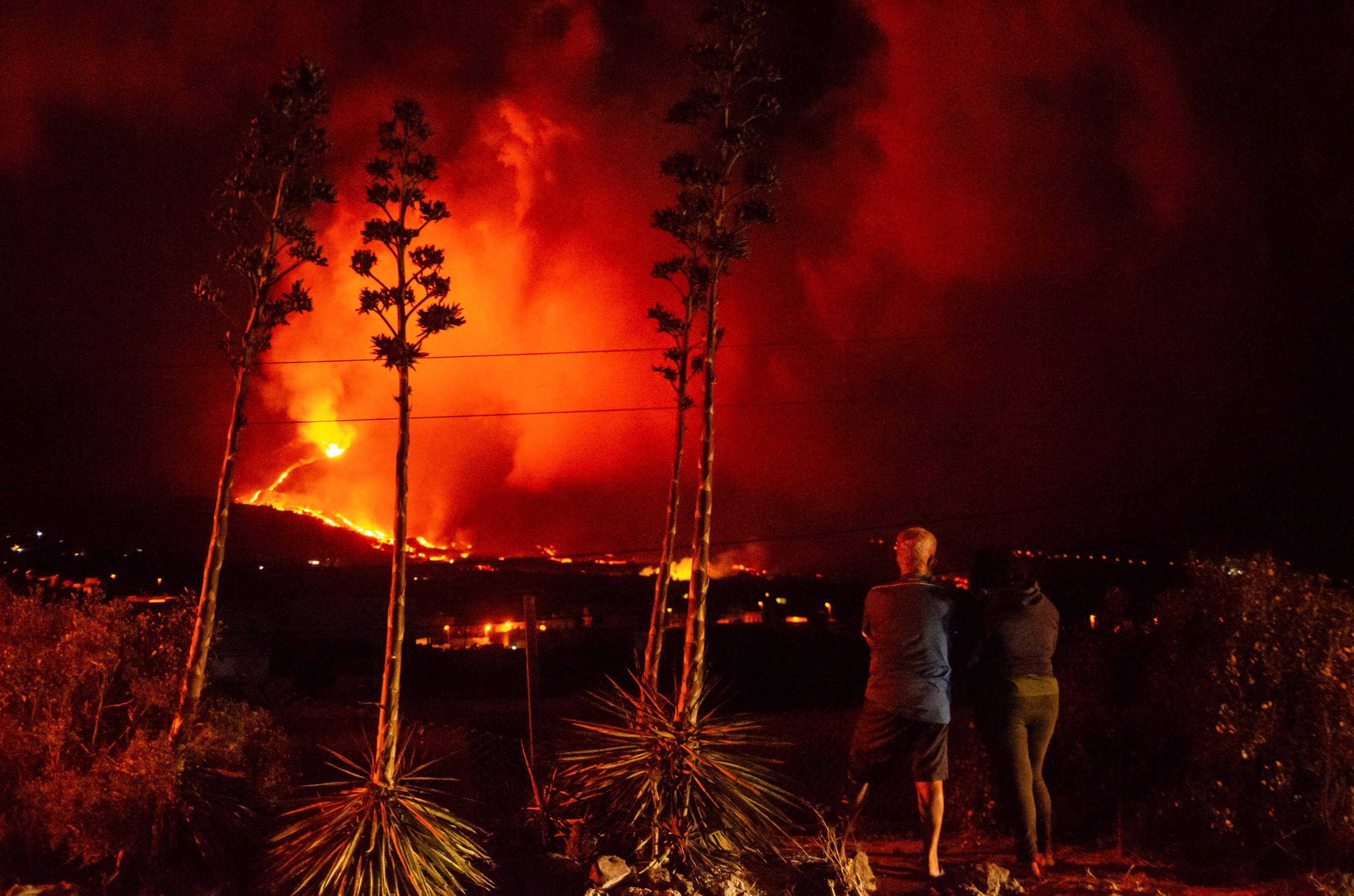 L'Armada estudia traslladar els agricultors de La Palma als cultius aïllats