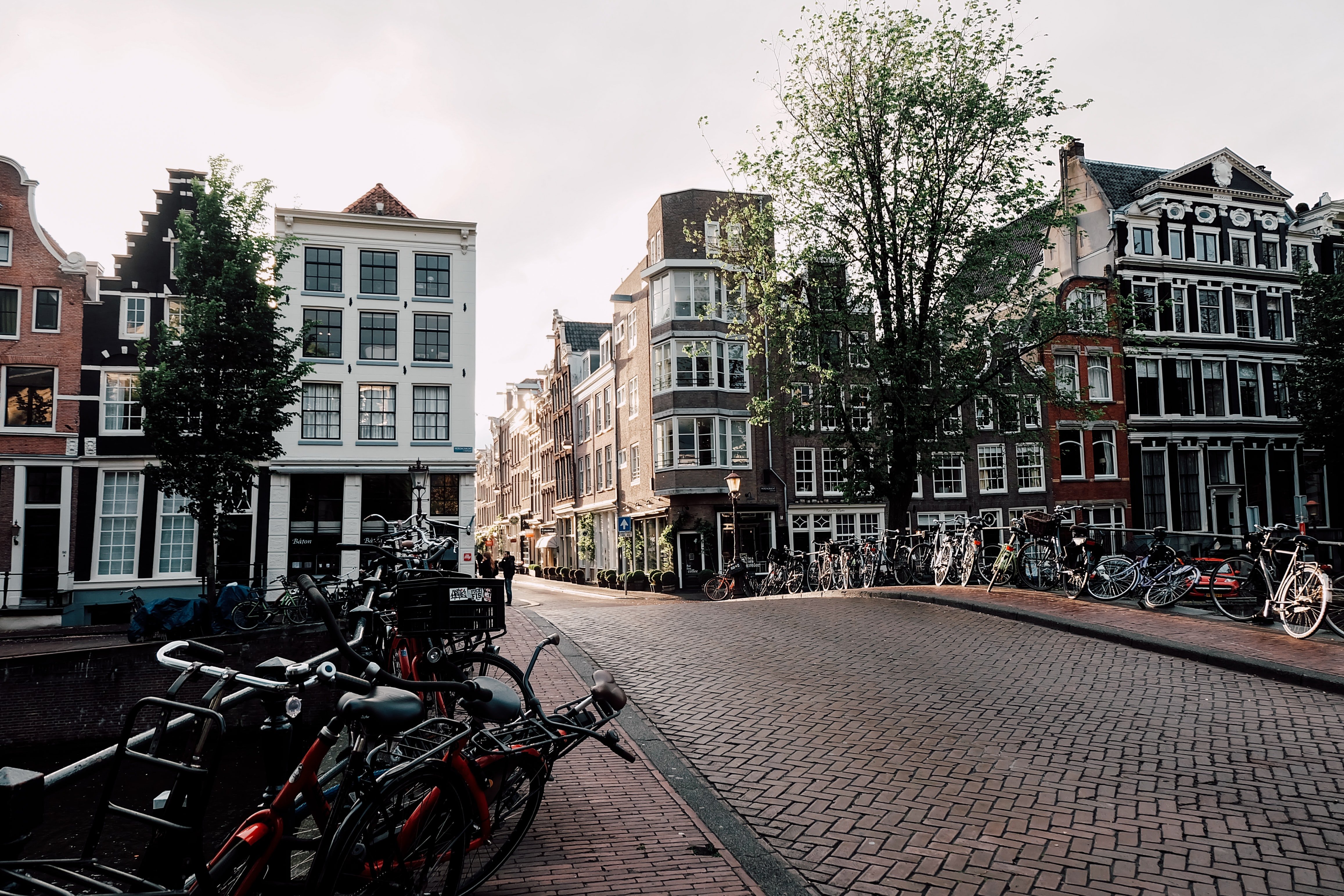 Los Países Bajos vuelven atrás: medidas anticovid y mascarilla obligatoria