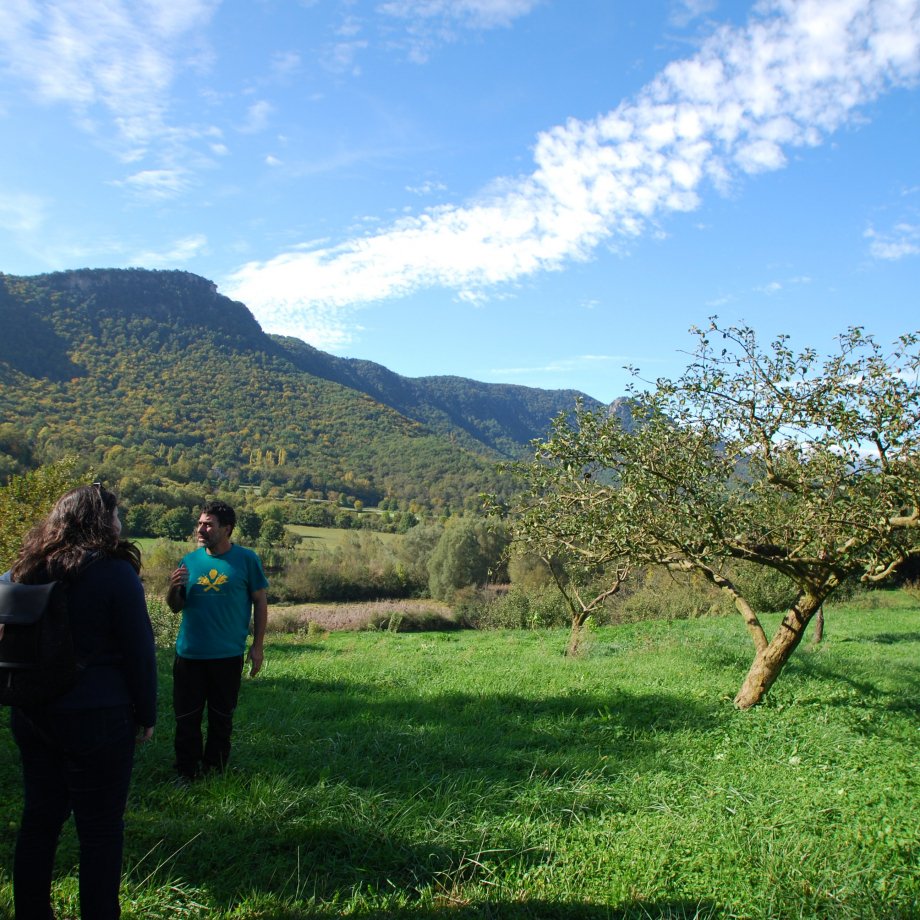 Fageda d'En Jordà 