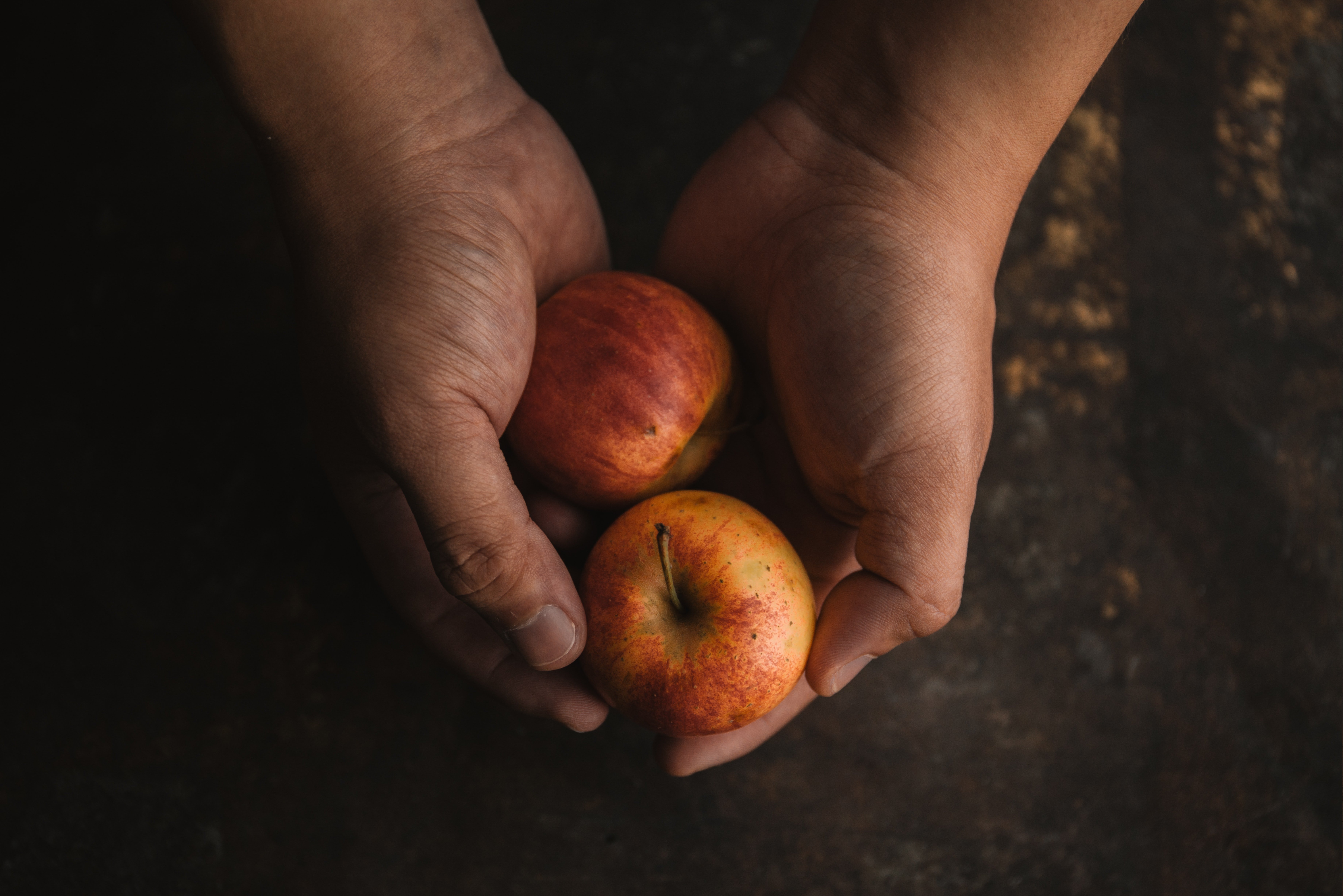 Las manzanas del pecado original