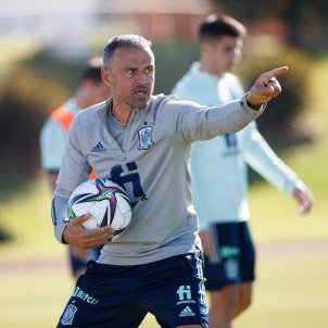 Luis Enrique va recomanar personalment el fitxatge a Xavi Hernández, que té decidit no portar-lo al Barça