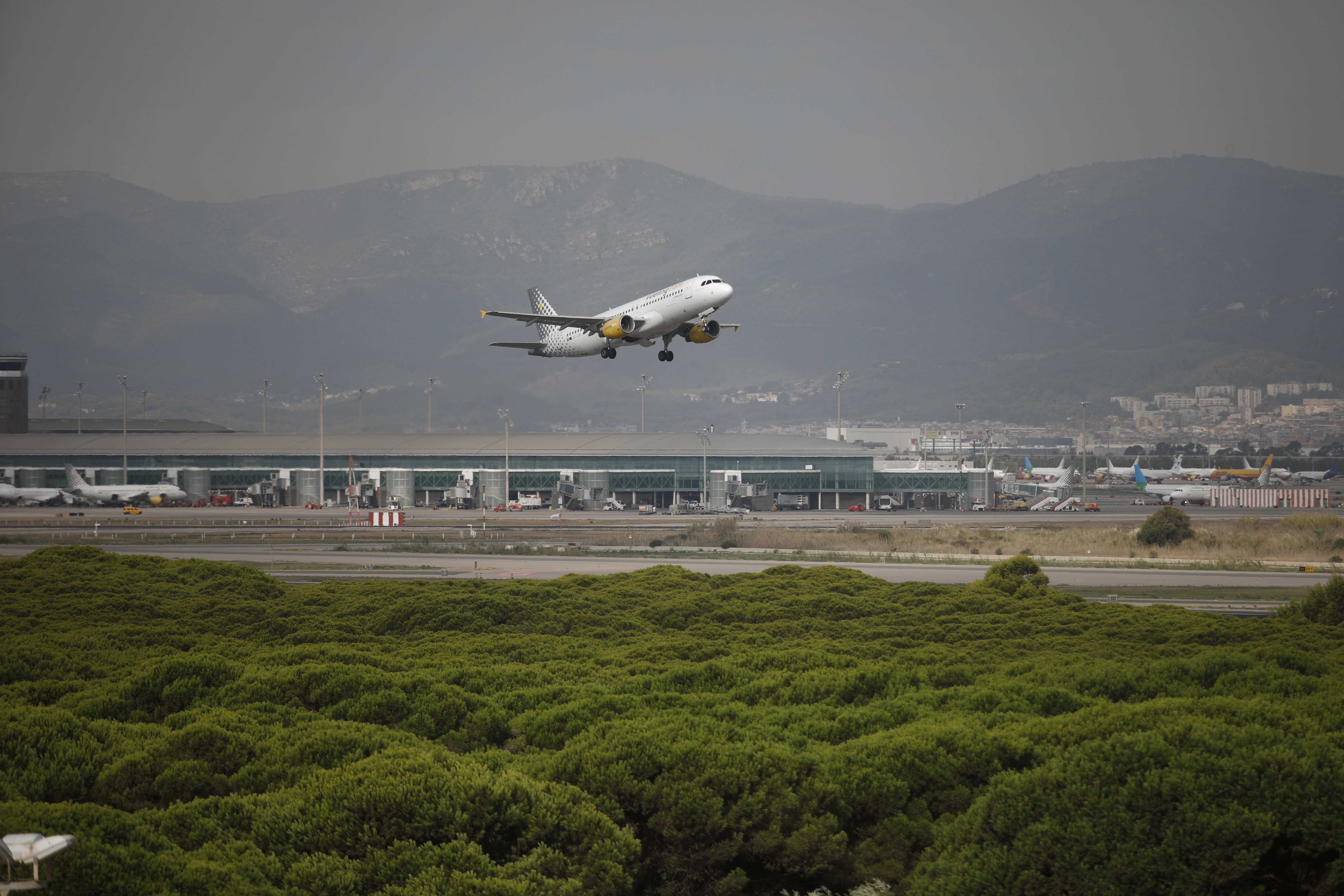 Lufthansa, Ryanair y la polémica de los vuelos fantasma por la covid