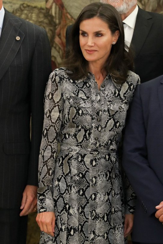 letizia ortiz vestido serpiente massimo dutti 600