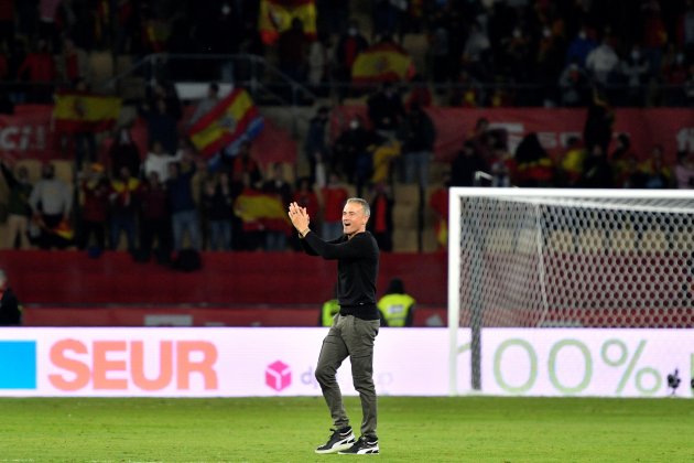 Luis Enrique celebra Espanya EFE