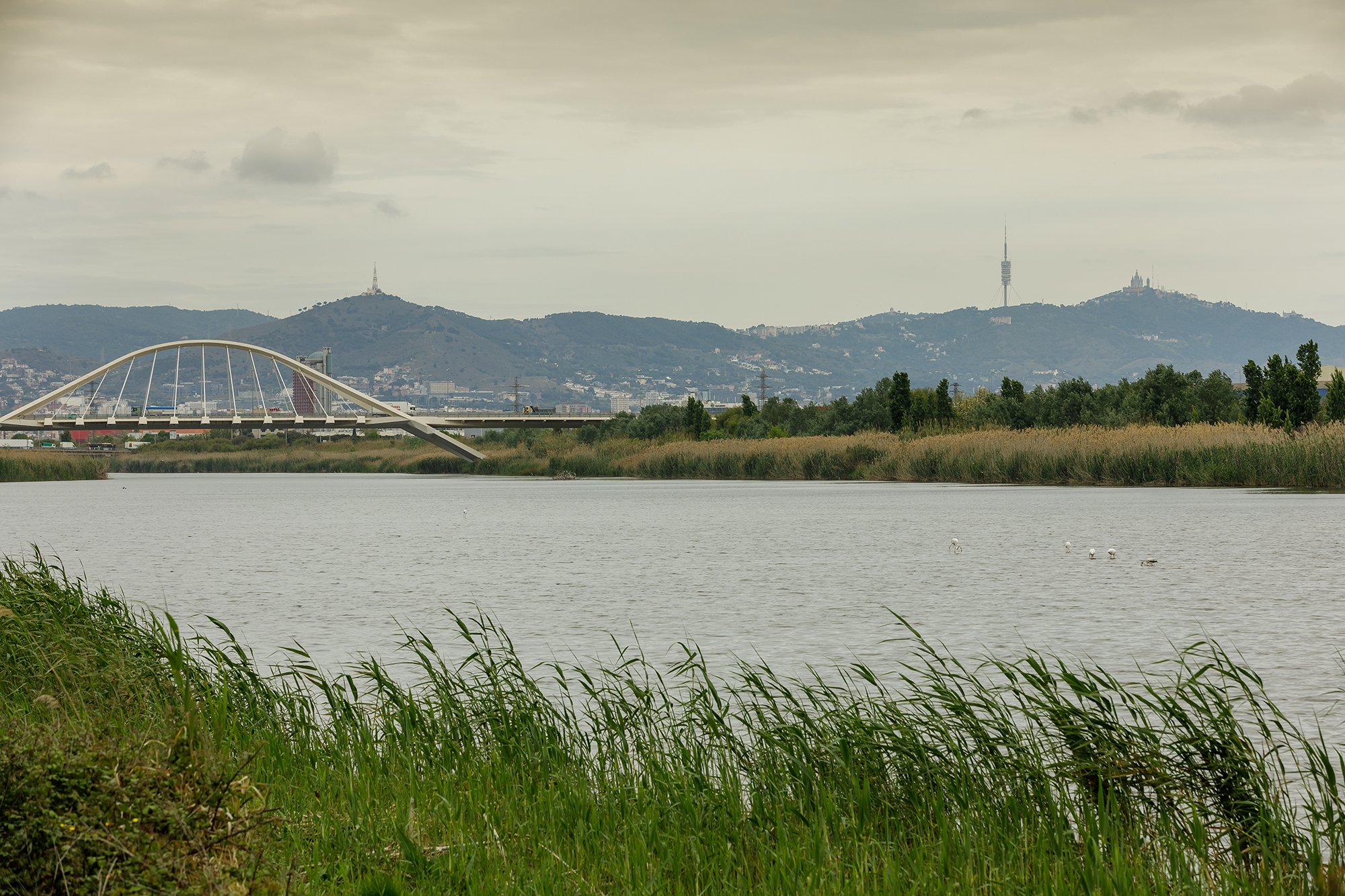 Río Llobregat