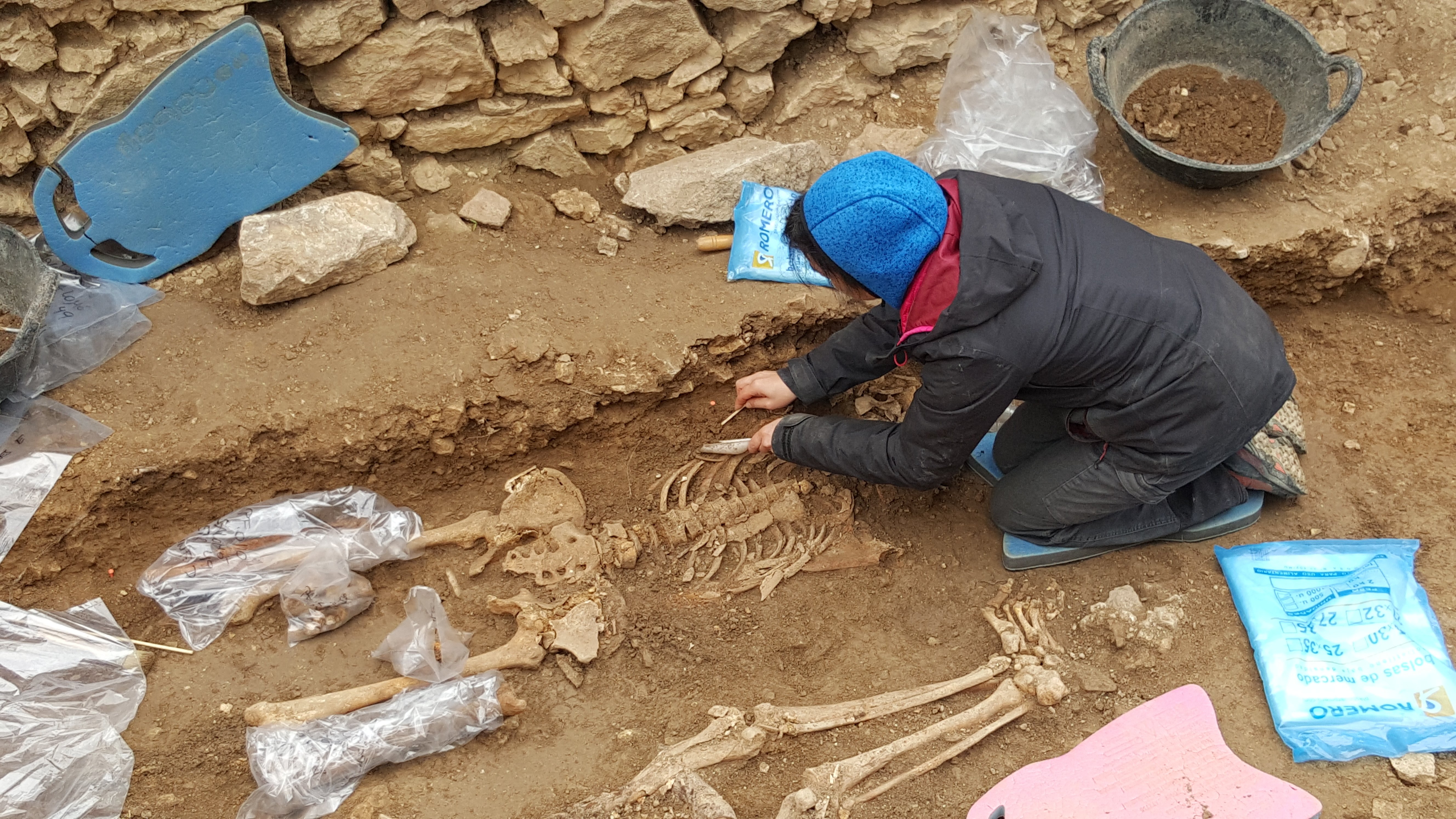 La primera fossa comuna exhumada al Camp de Tarragona