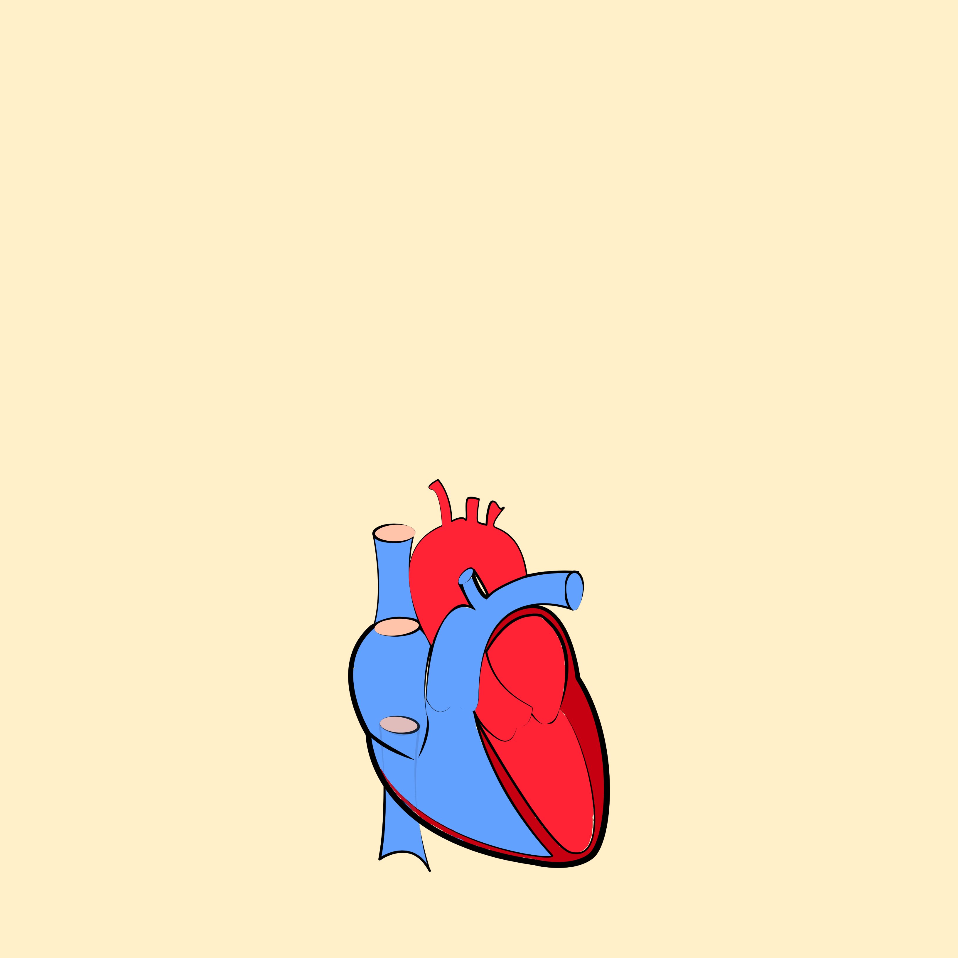 La relación entre el cambio climático y las enfermedades cardiovasculares