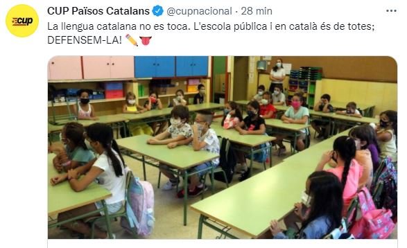TUIT CUP Imposicion castellano