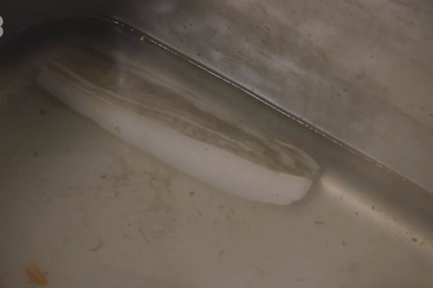 Pescado descongelándose Joc de Cartes TV3