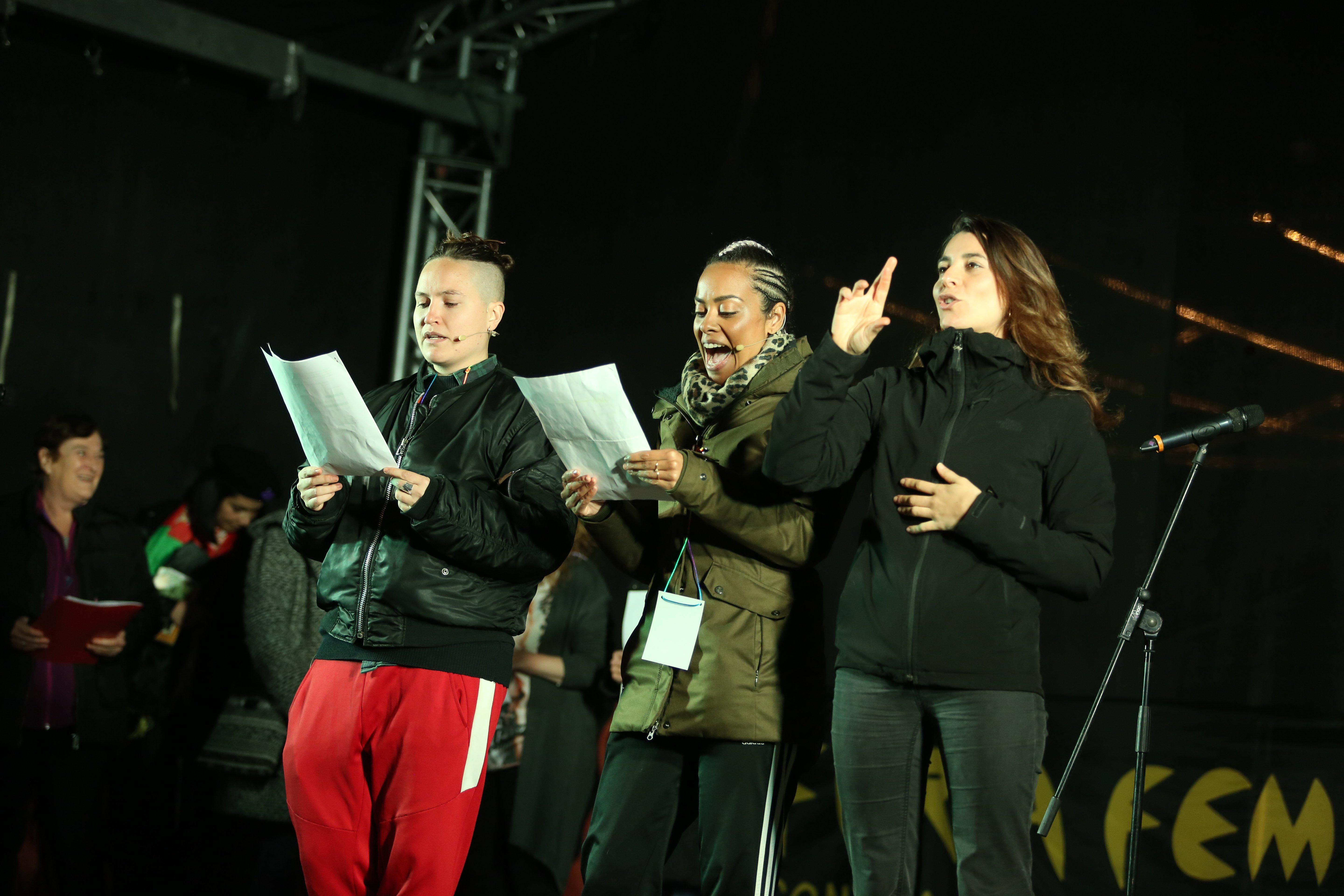 Manifest manifestació 25N - Montse Giralt