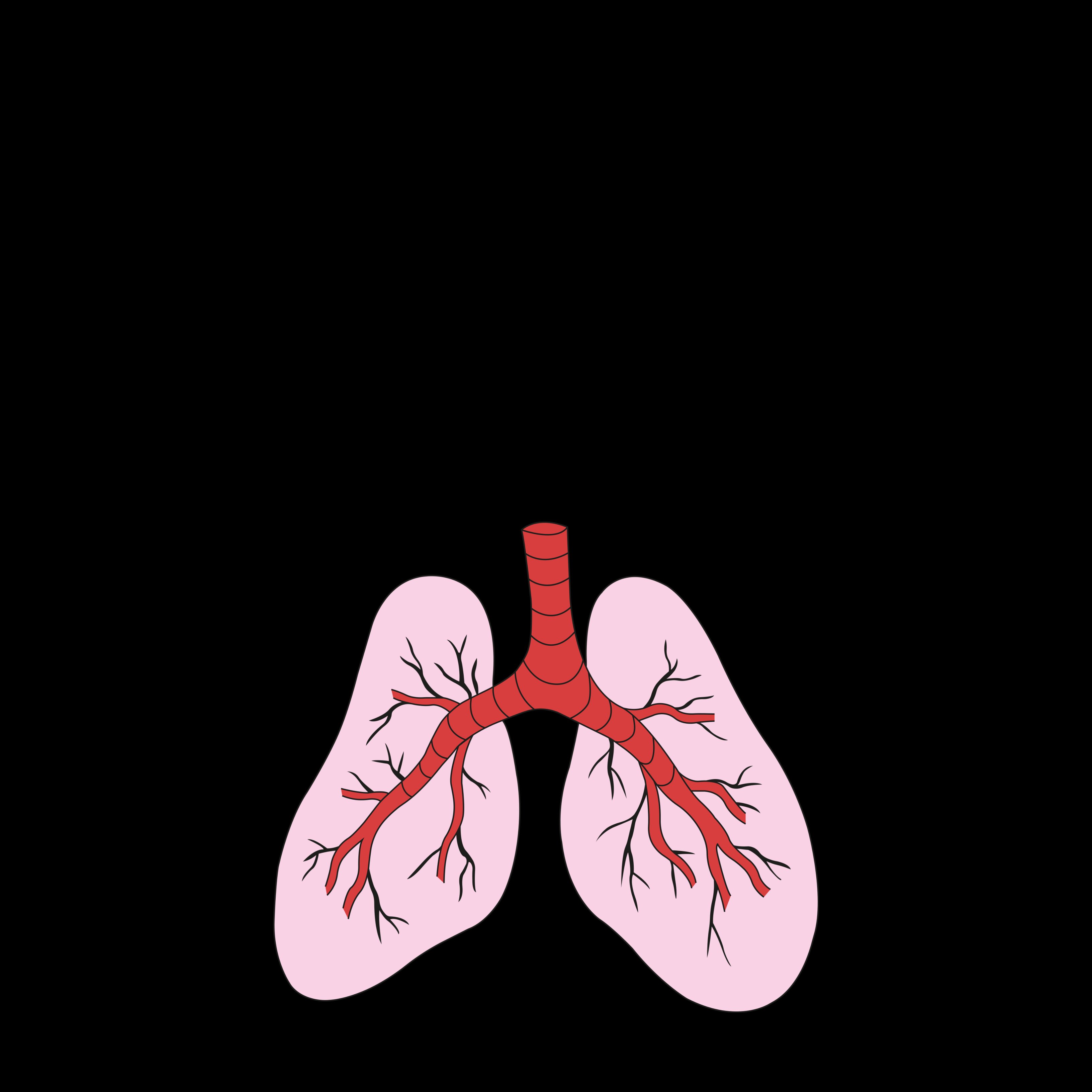 El cribado del cáncer de pulmón, la mejor herramienta
