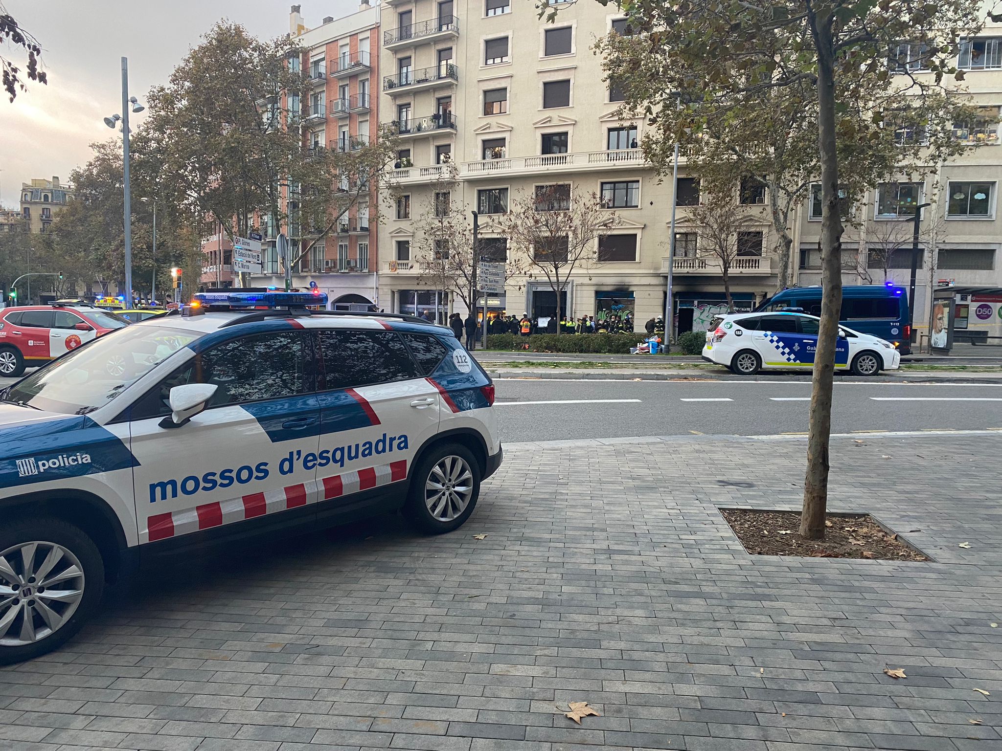 Barcelona es la ciudad con más ocupaciones de todo el Estado español