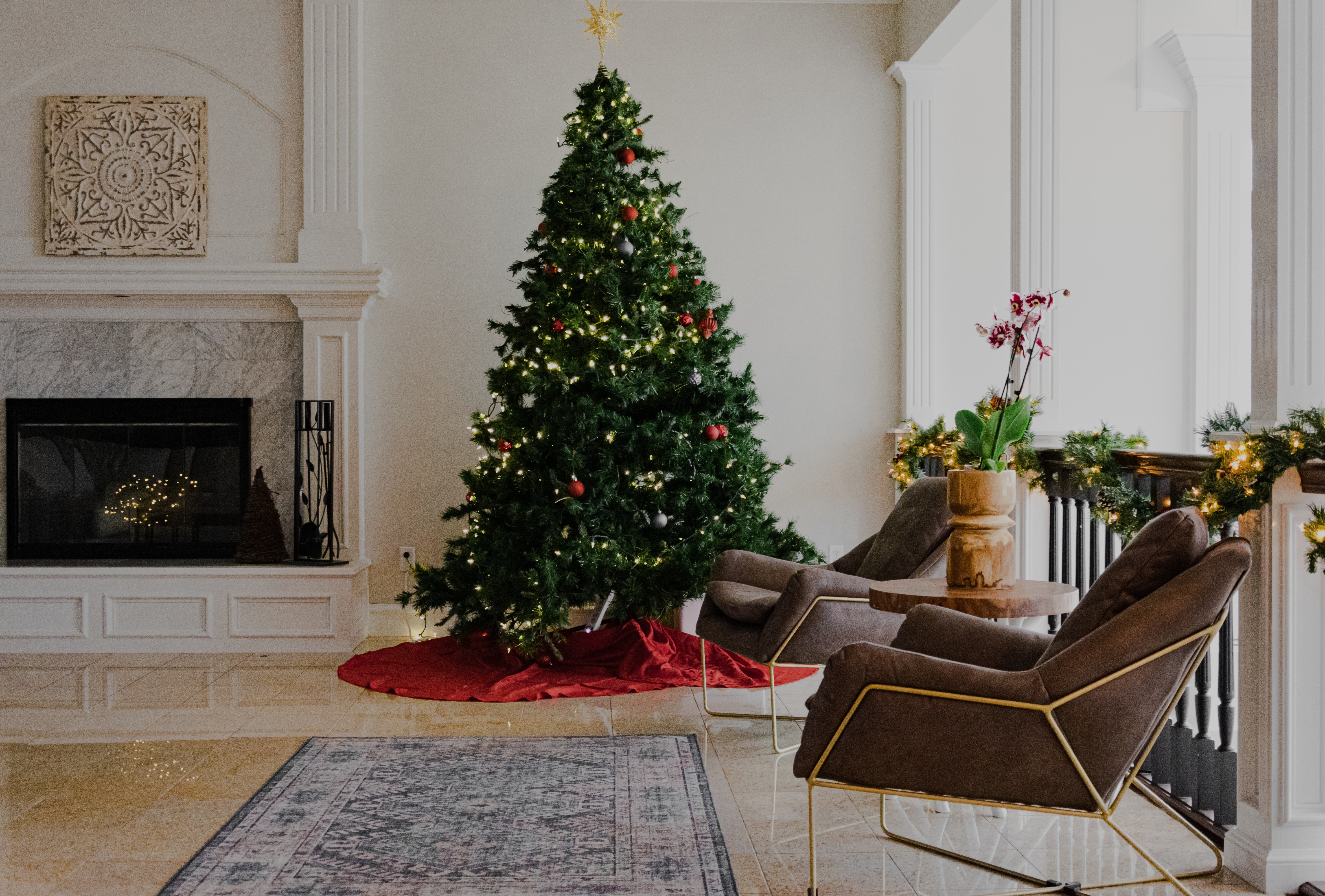 El Parlament pondrá por primera vez un árbol de Navidad (de 5 metros) y un belén