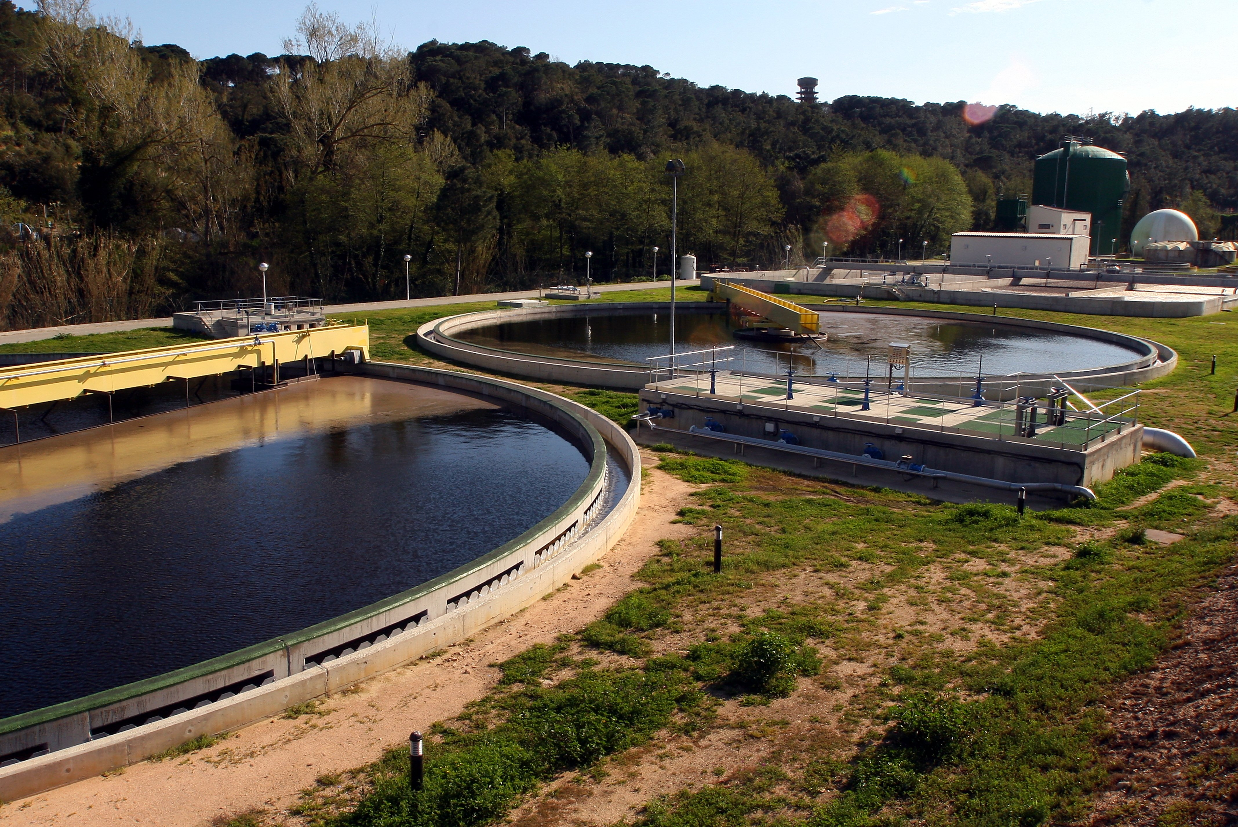 La variante ómicron está presente en las aguas residuales de Catalunya