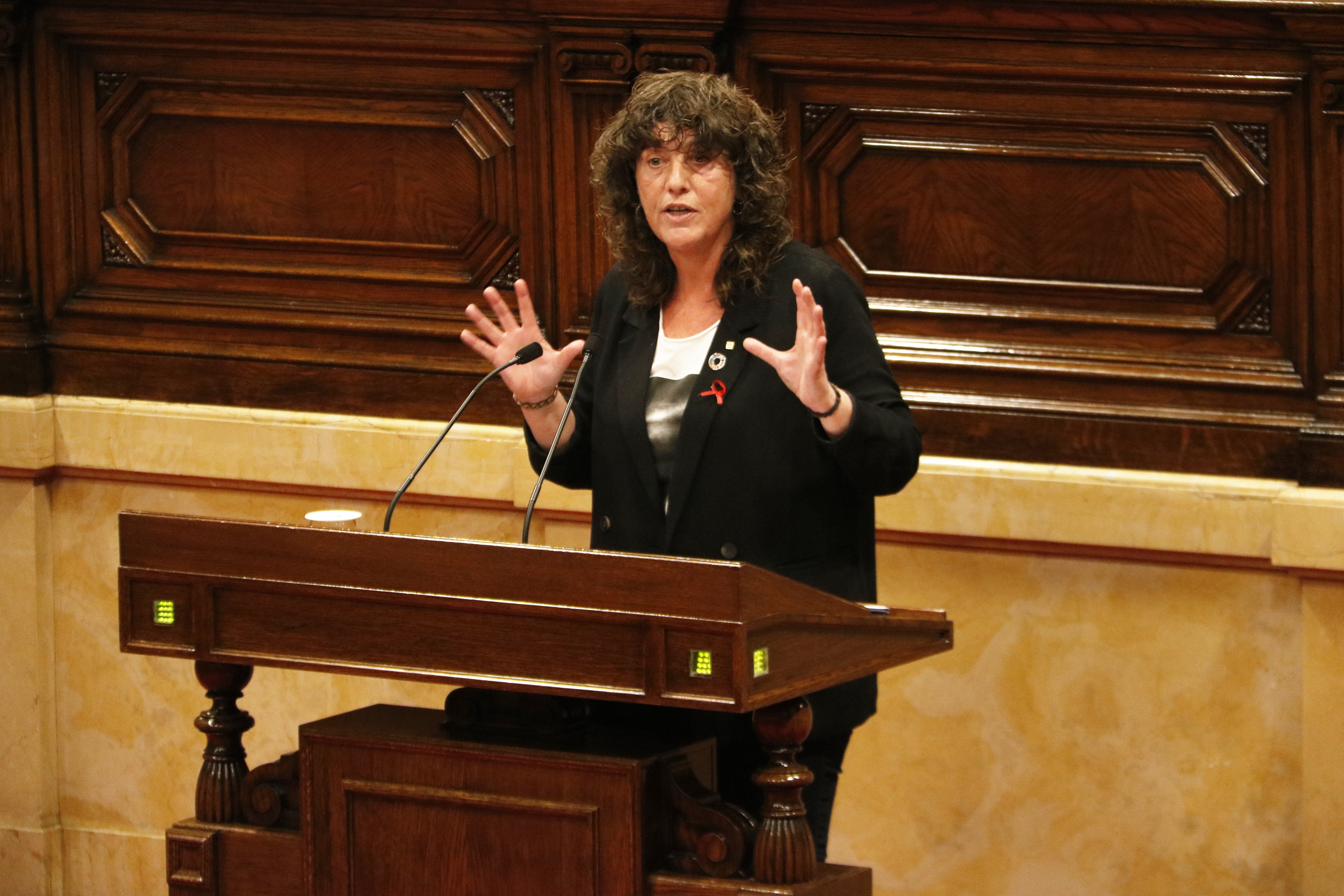 teresa jorda parlament - acn