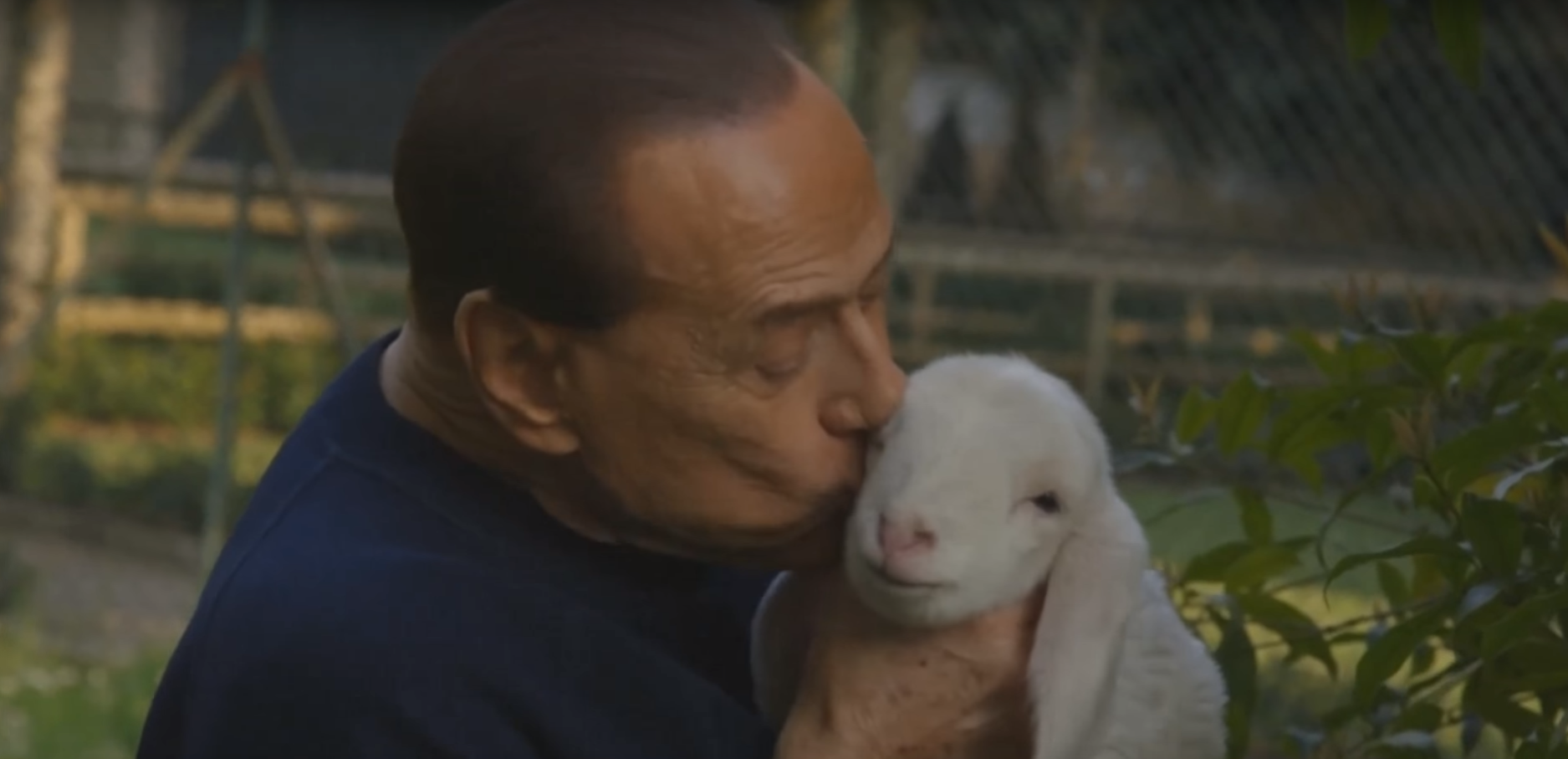 Berlusconi vuelve a la política con un partido animalista