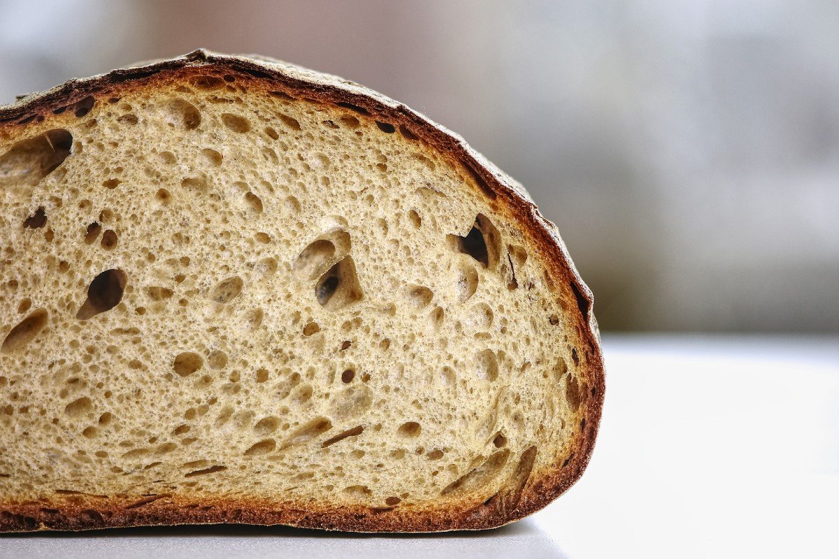 Los 10 mejores tostaderos de pan del 2021