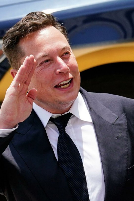 Elon Musk grande