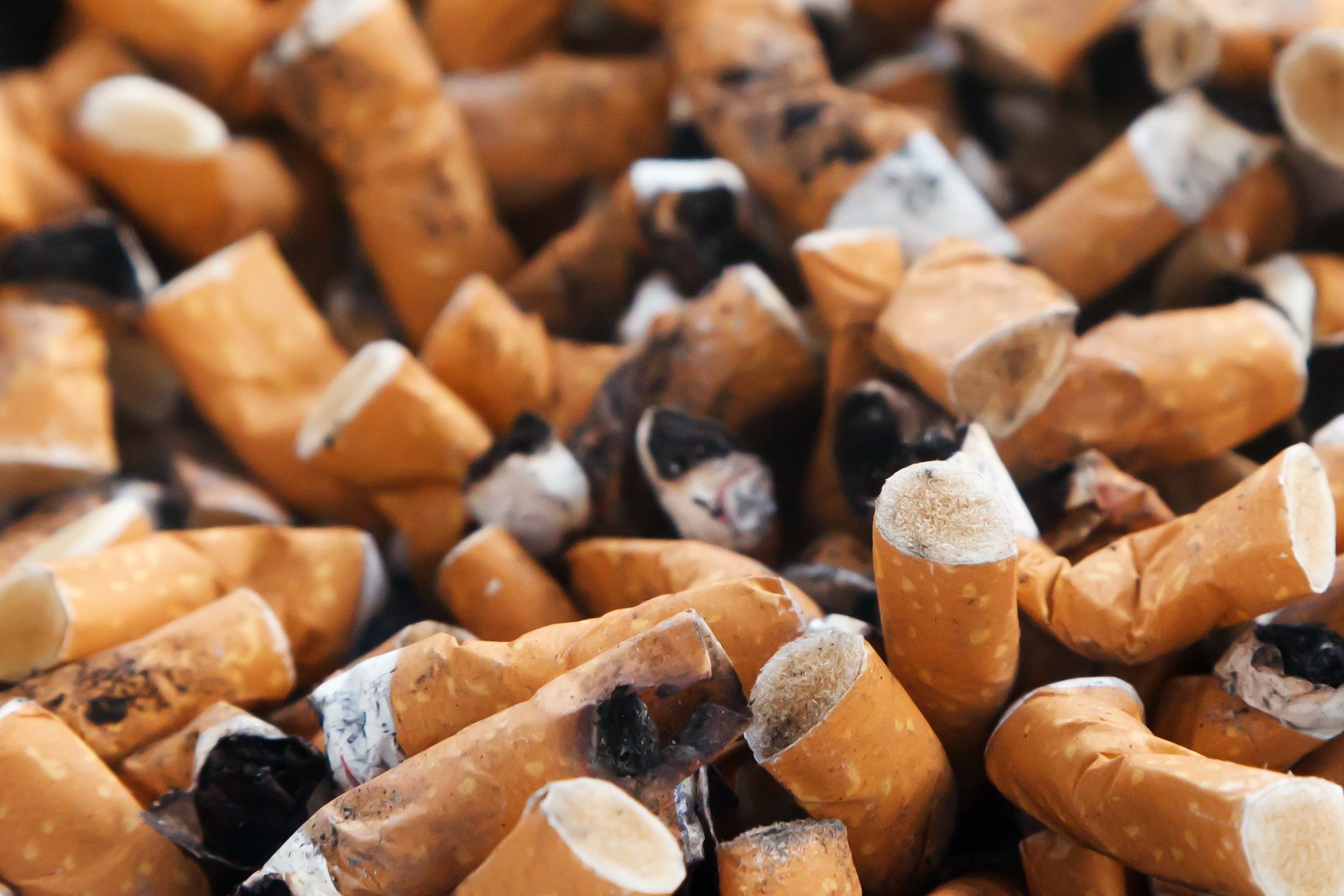 Tabac, alcohol o sobrepès: la causa de gairebé la meitat dels casos de càncer, segons un estudi