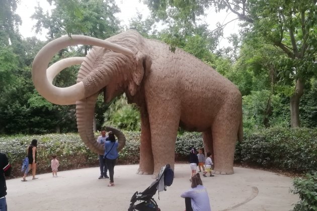 mamut parque ciudadela ciutadella foto jordi palmer