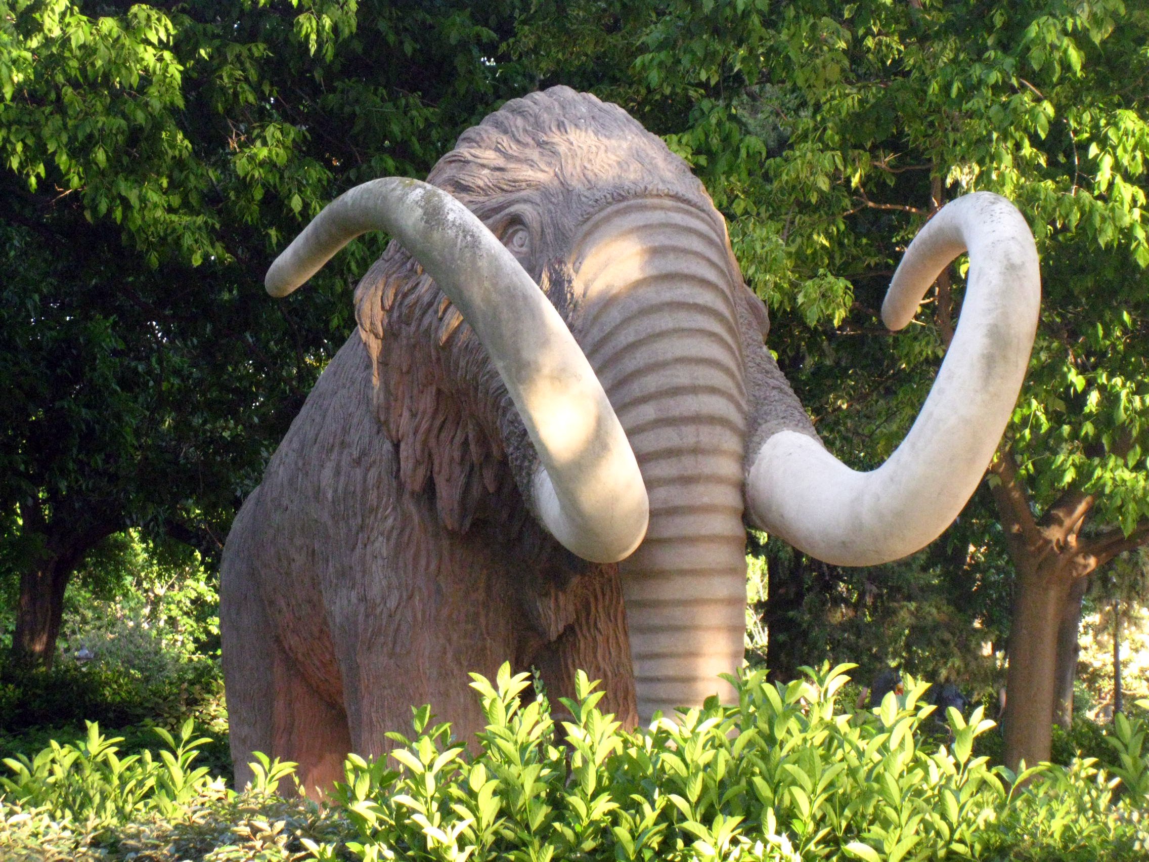 El mamut solitario de la Ciutadella cumple 114 años (¿y la locomotora?)