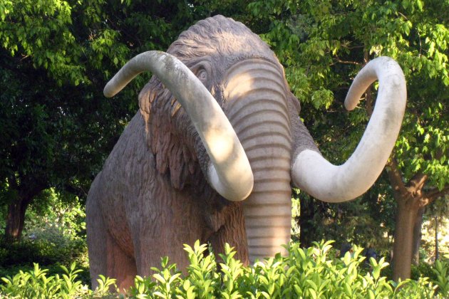 Mamut Ciutadella ciudadela foto Enfo Mamut Ciutadella ciudadela foto Enfo