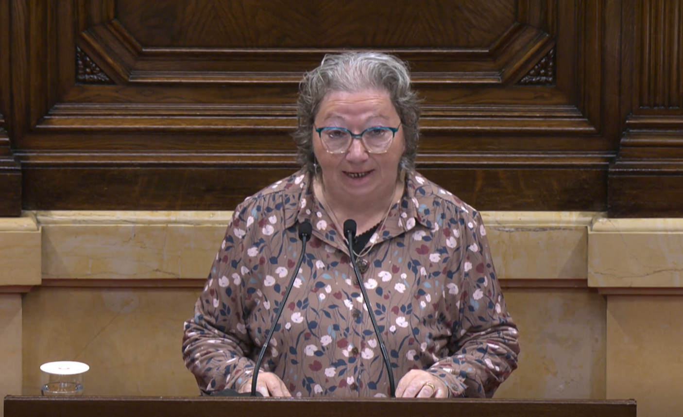 ple parlament  - merce torrellante