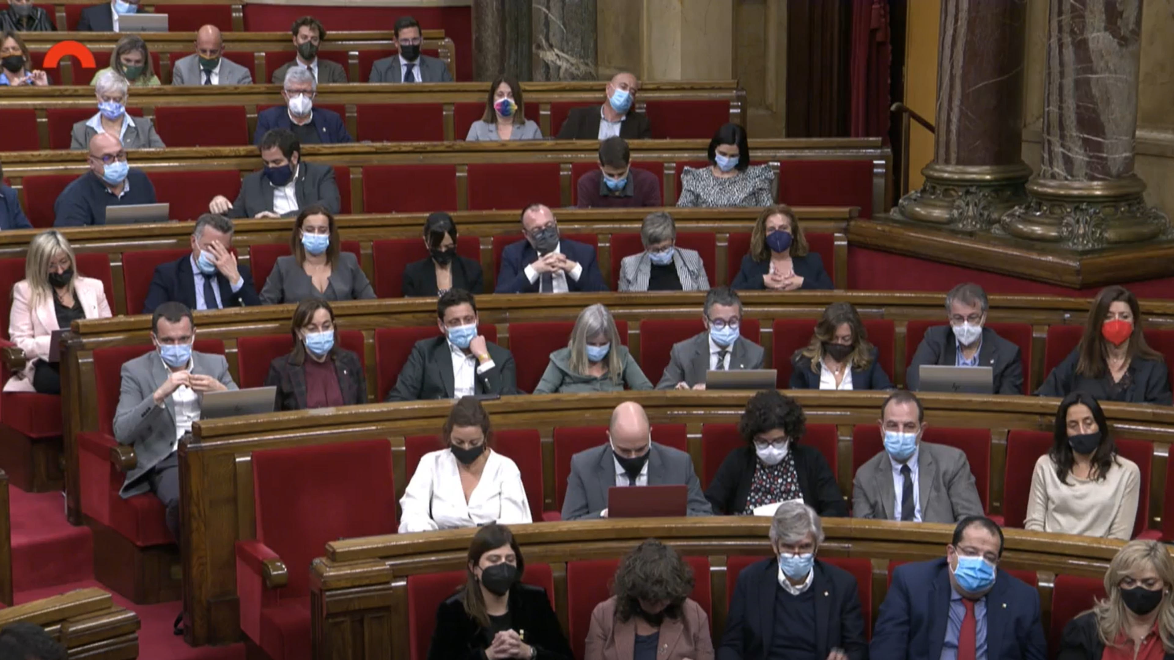 ple parlament salut mental