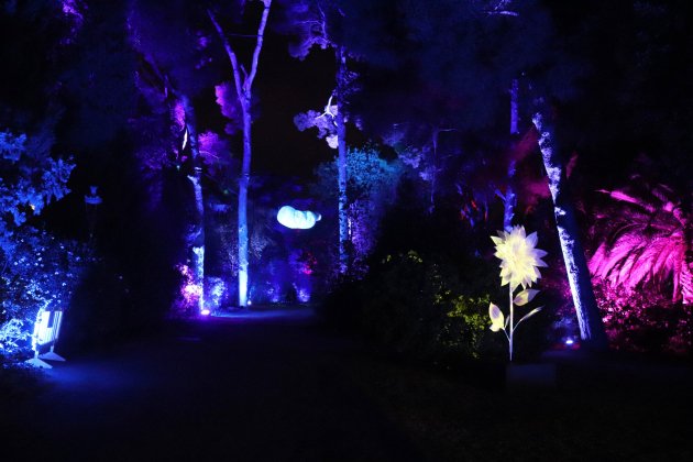 naturaleza encendida jardines pedralbes foto ACN 2ç