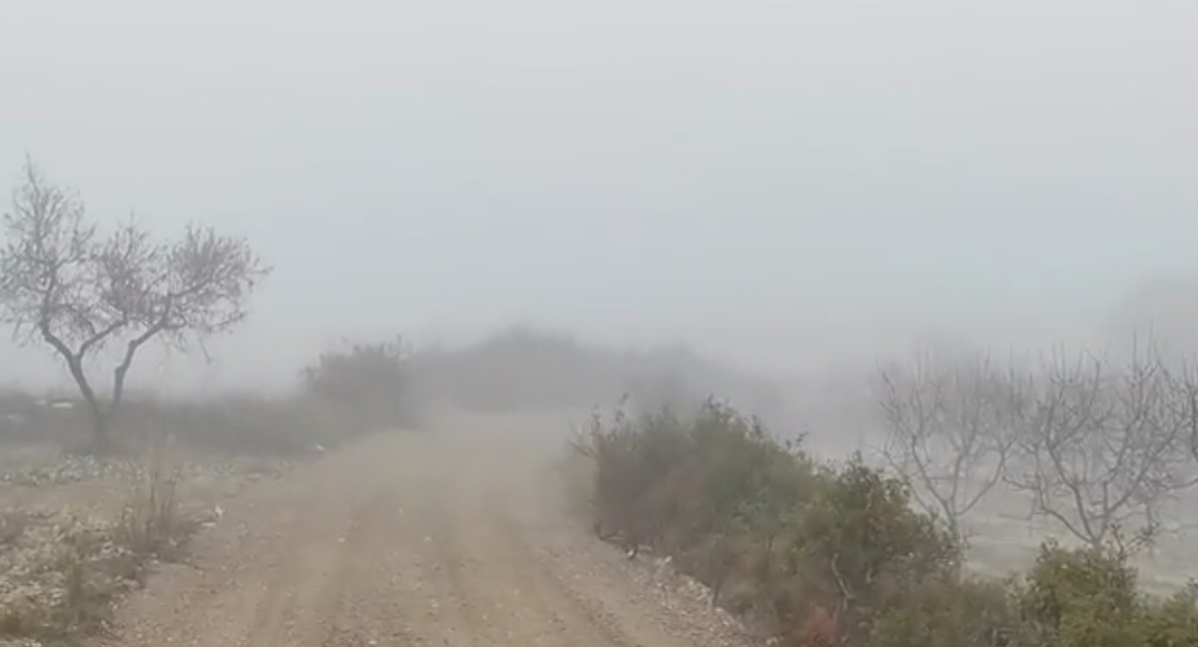 Niebla persistente y meona en l'Espluga Calba / Foto: Ayuntamiento de L'Espluga Calba