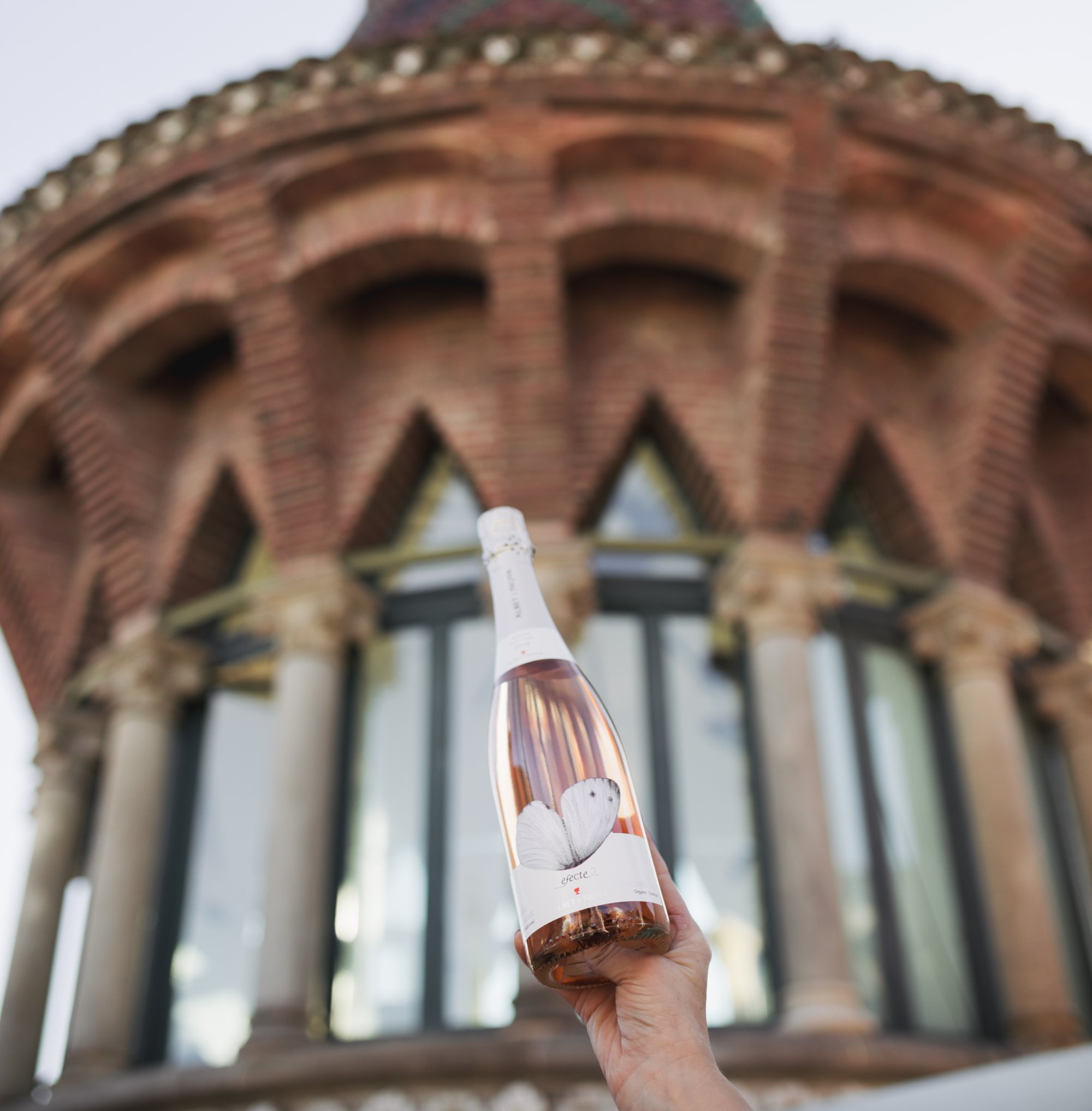 L’efecte papallona al cor del Penedès