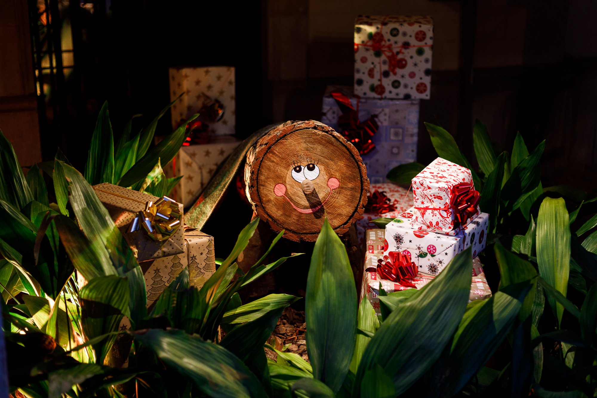 ©Laperspectiva.es Palau Robert Nadal 4063