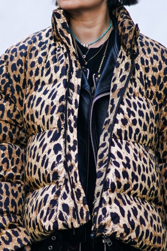 Plumífero de leopardo