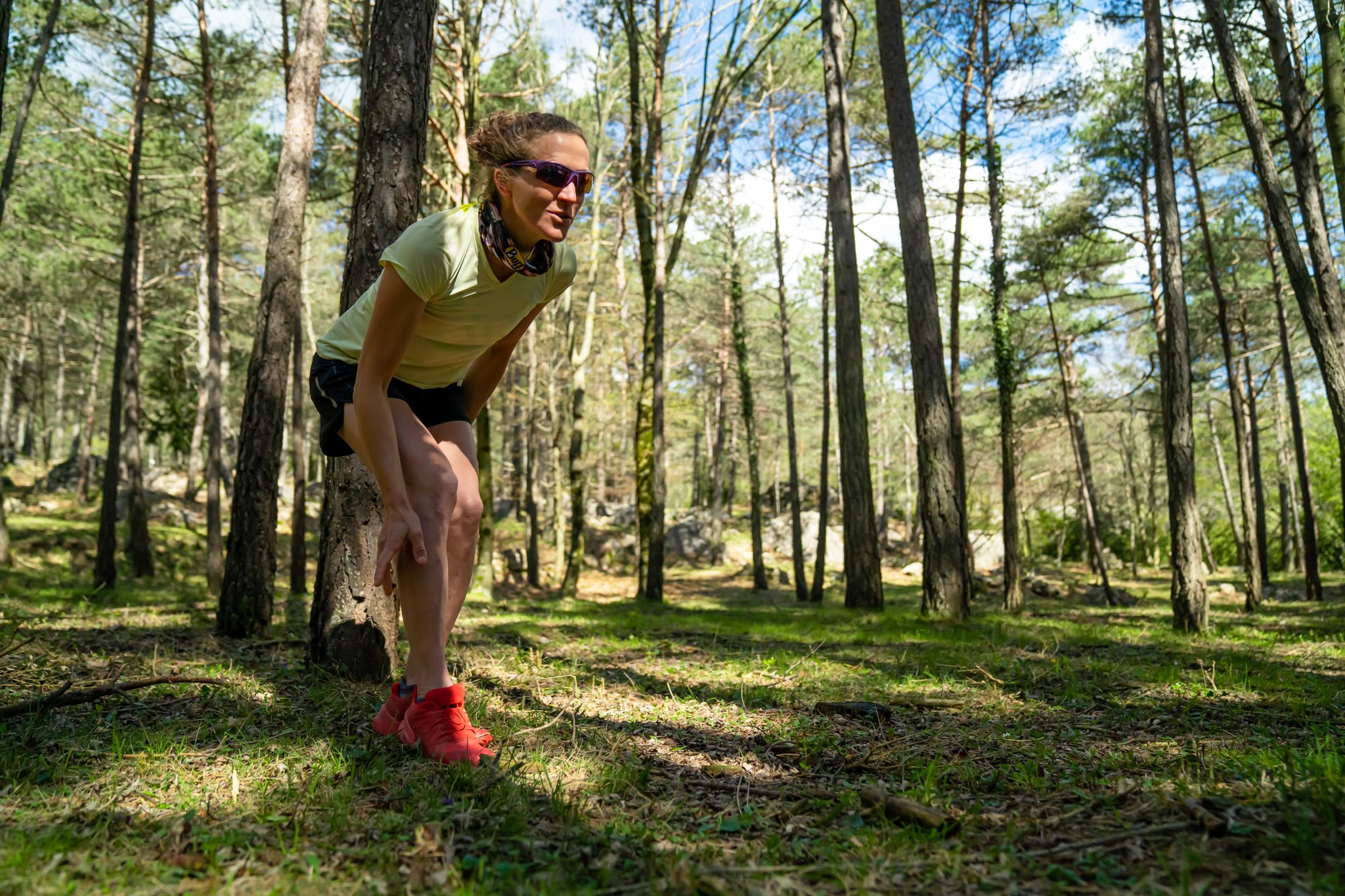 Picas deixa el Parlament per tornar a la muntanya: la substituirà Jose Rodríguez