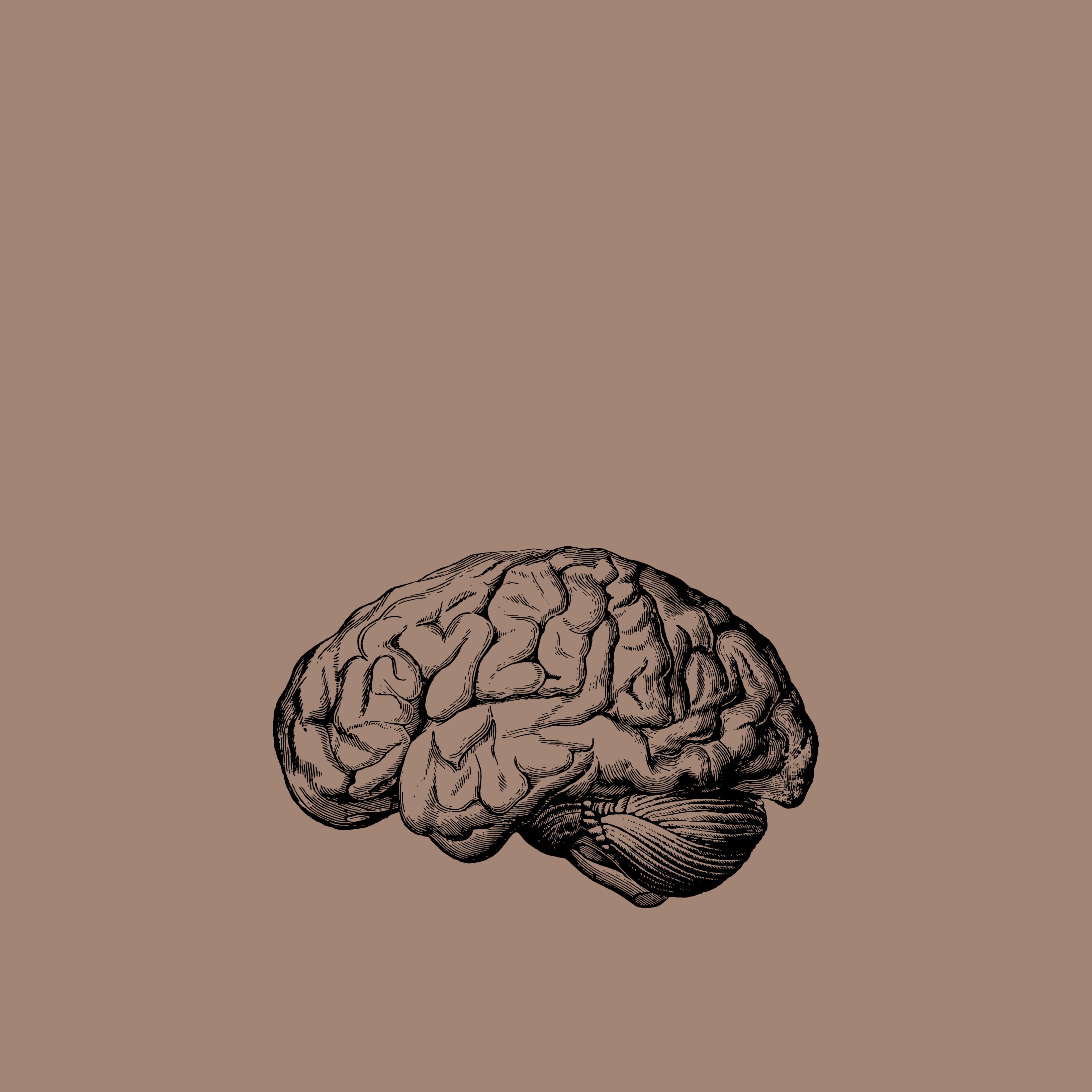 Les lesions cerebrals naturals que poden conduir a la demència