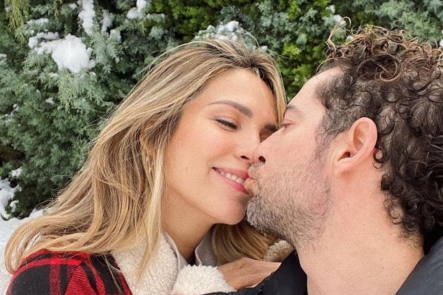 Rosanna Zanetti y David Bisbal / INSTAGRAM
