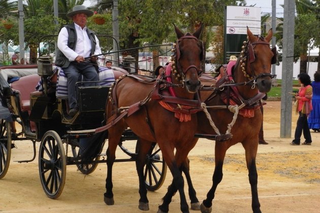 Caballo como medio de transporte