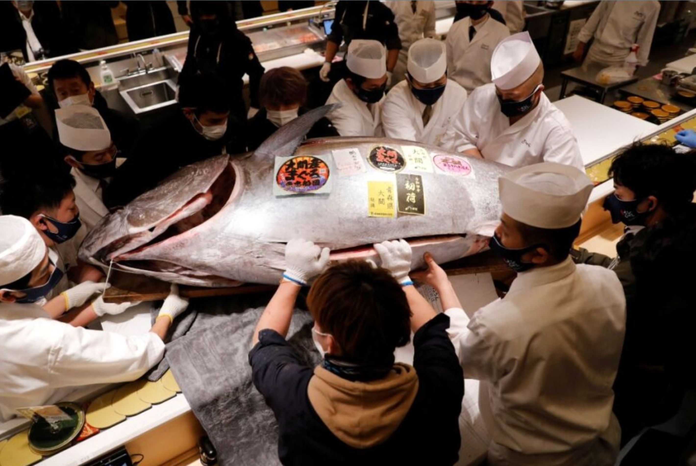 atun japon reuters