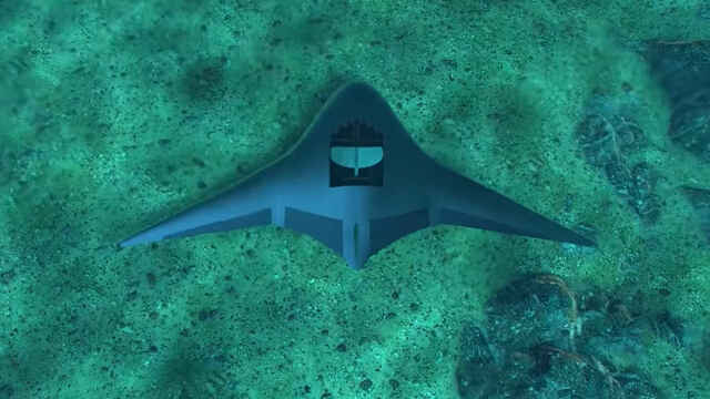Dron para el mar