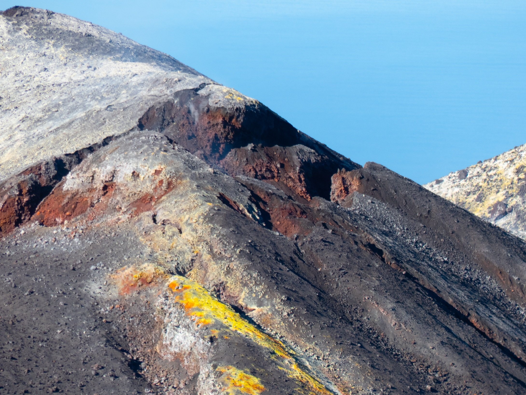 La naturaleza vuelve a nacer en La Palma 13 días después de apagarse el volcán