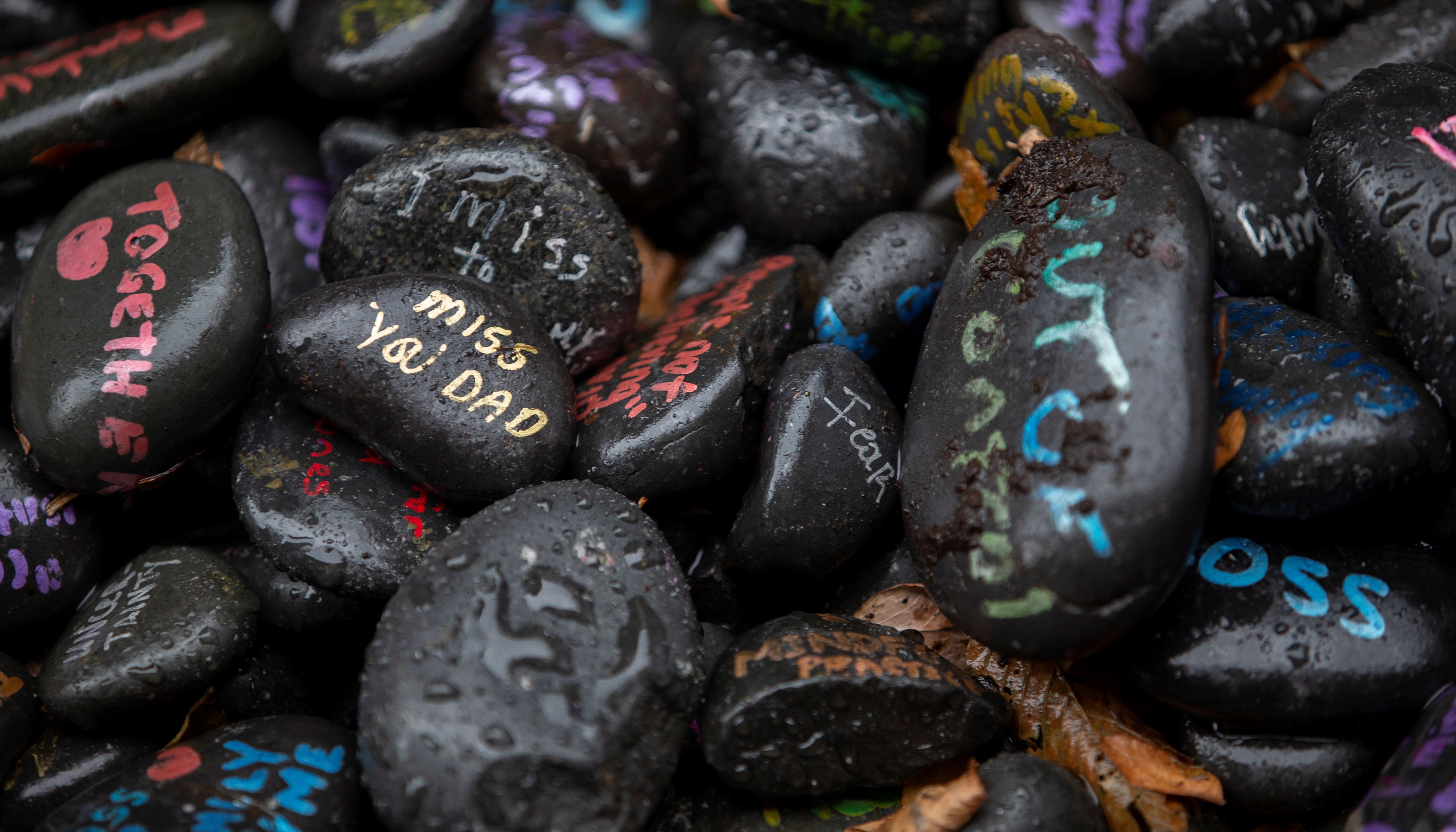 Boston (Estados Unidos)