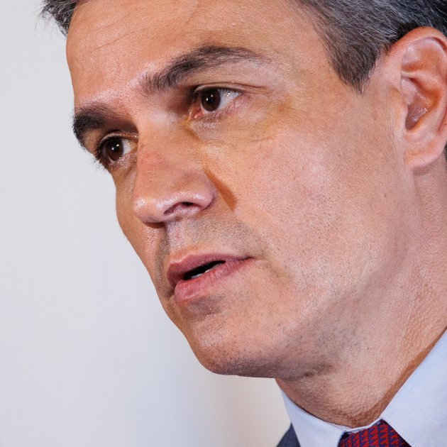 Alejandro Martínez Vélez / Europa Press presidente gobierno pedro sanchez