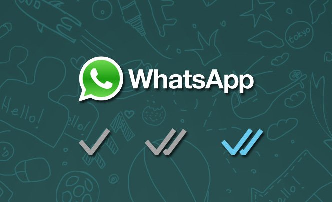 Tipos de Check de WhatsApp