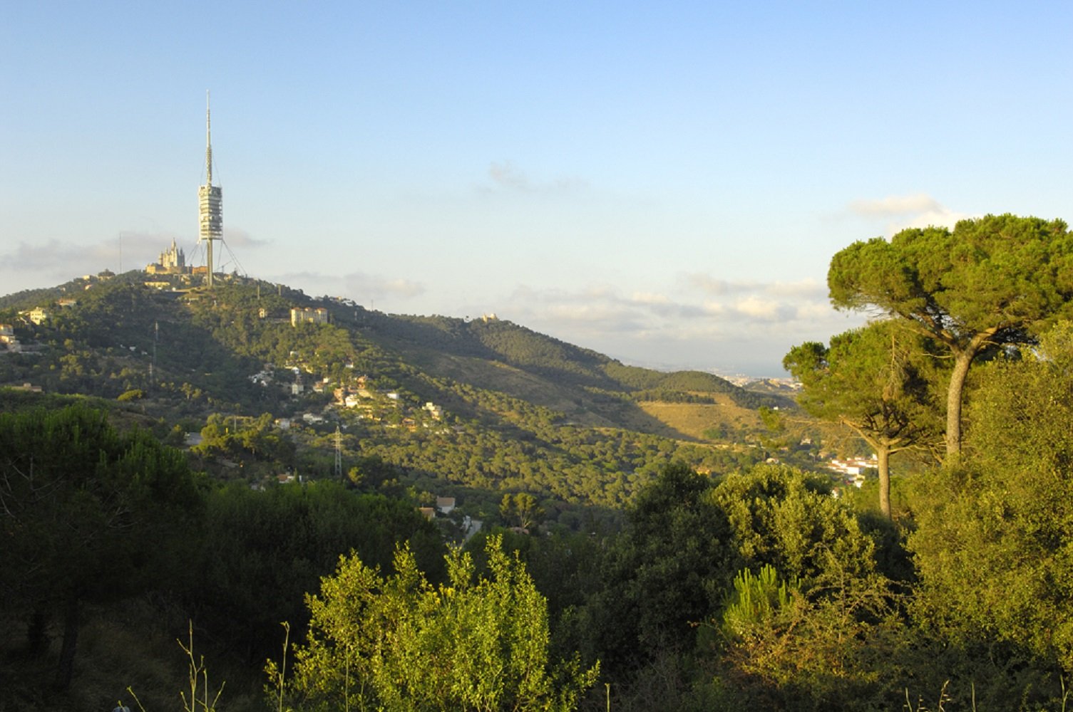 Un nou mapa actualitza tots els camins i caminois de Collserola