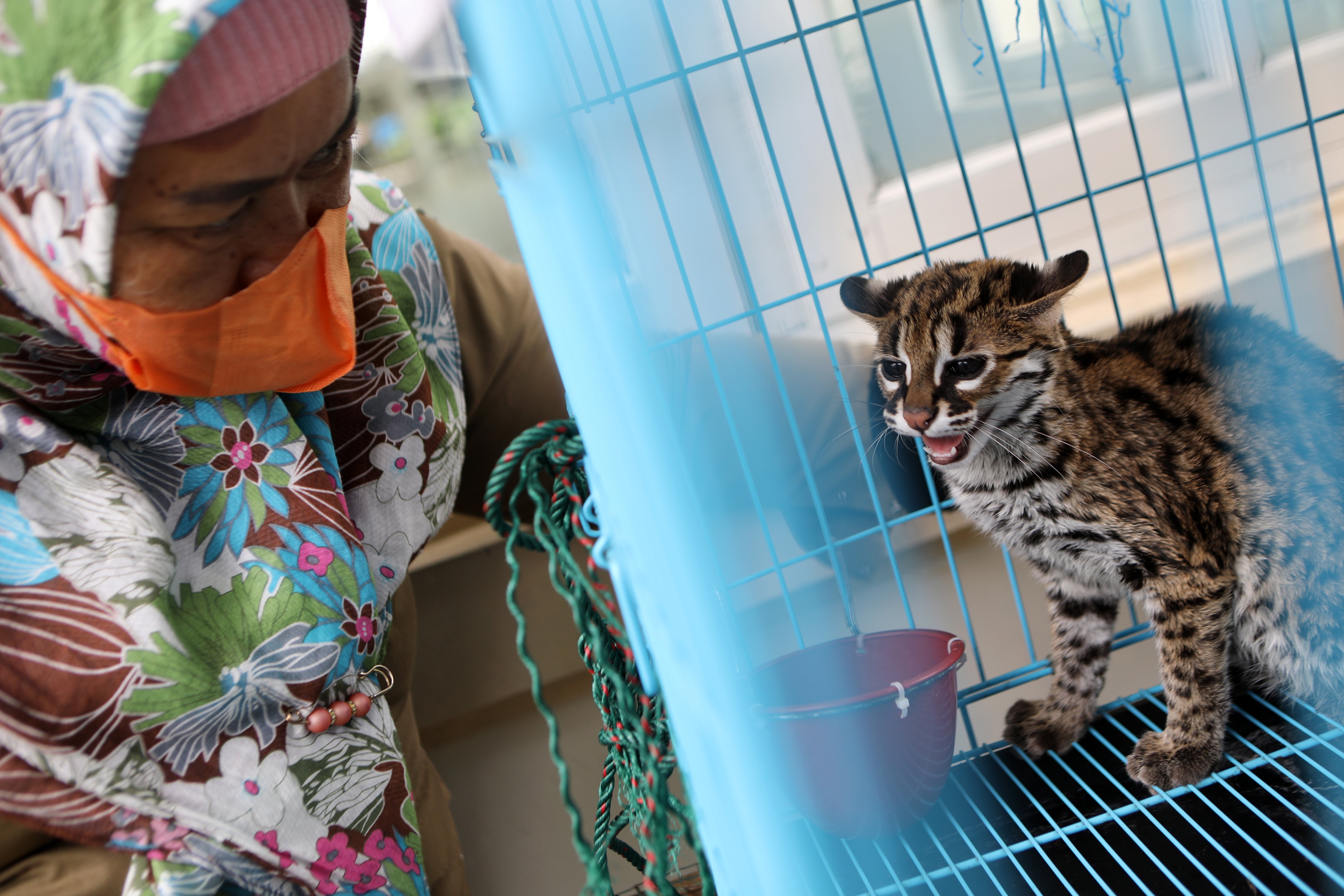 Banda Aceh (Indonèsia)