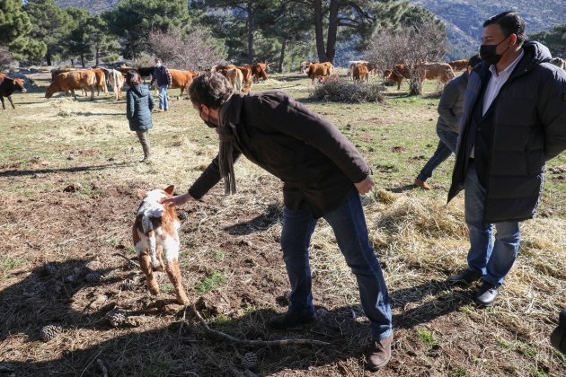 Pablo Casado zapatos ante campo EFE