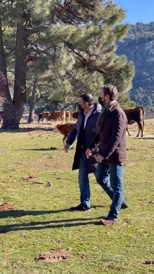 Pablo Casado zapatos ante salvo Instagram