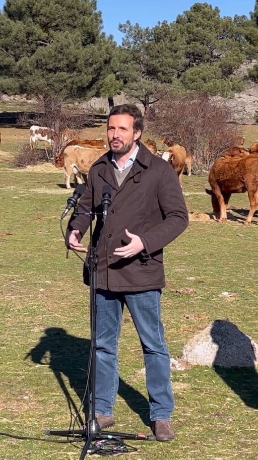 Pablo Casado vacas Instagram