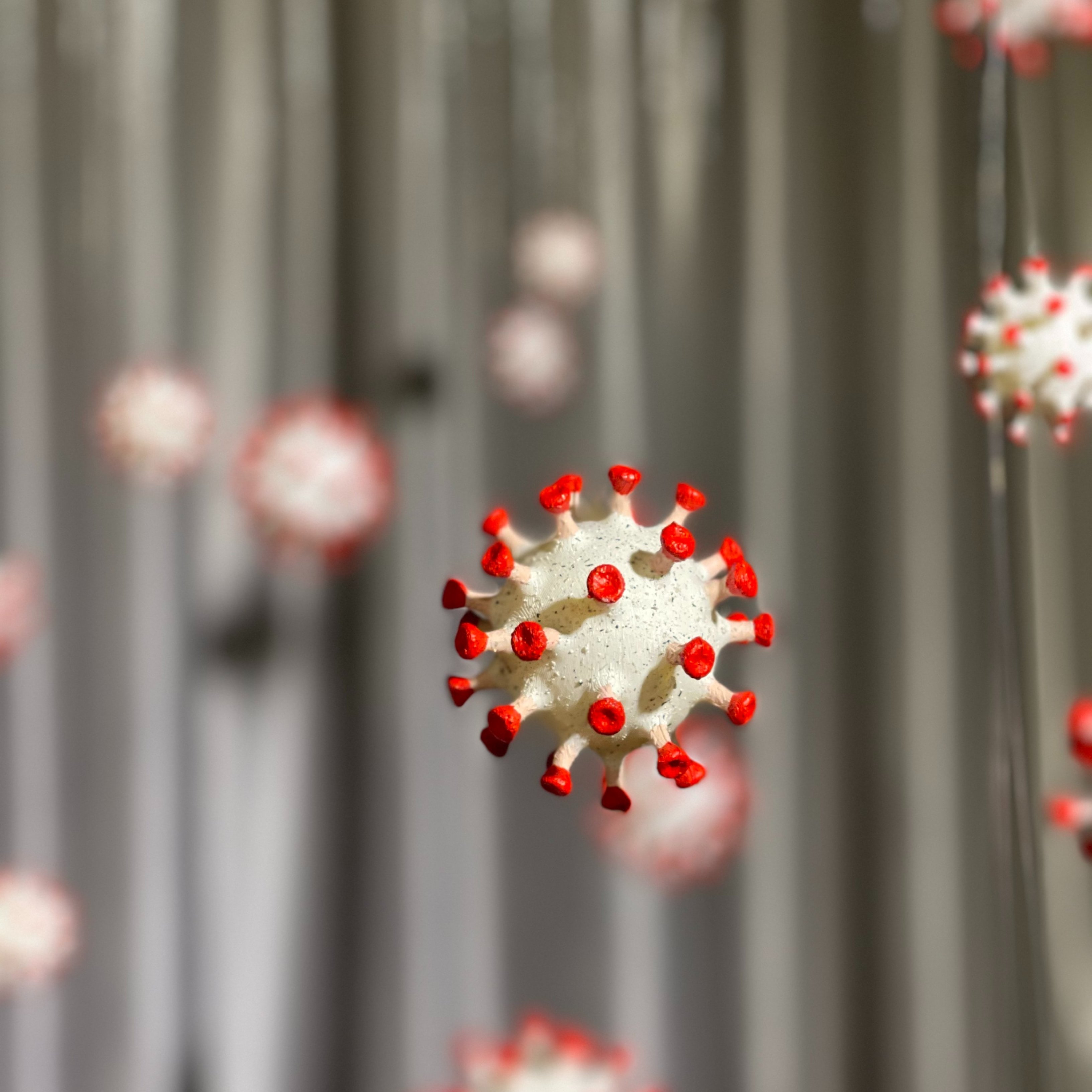 Òmicron, una variant que ha estat un pas enrere en l'evolució de la covid Òmicron, una variant que ha estat un pas enrere en l'evolució de la covid