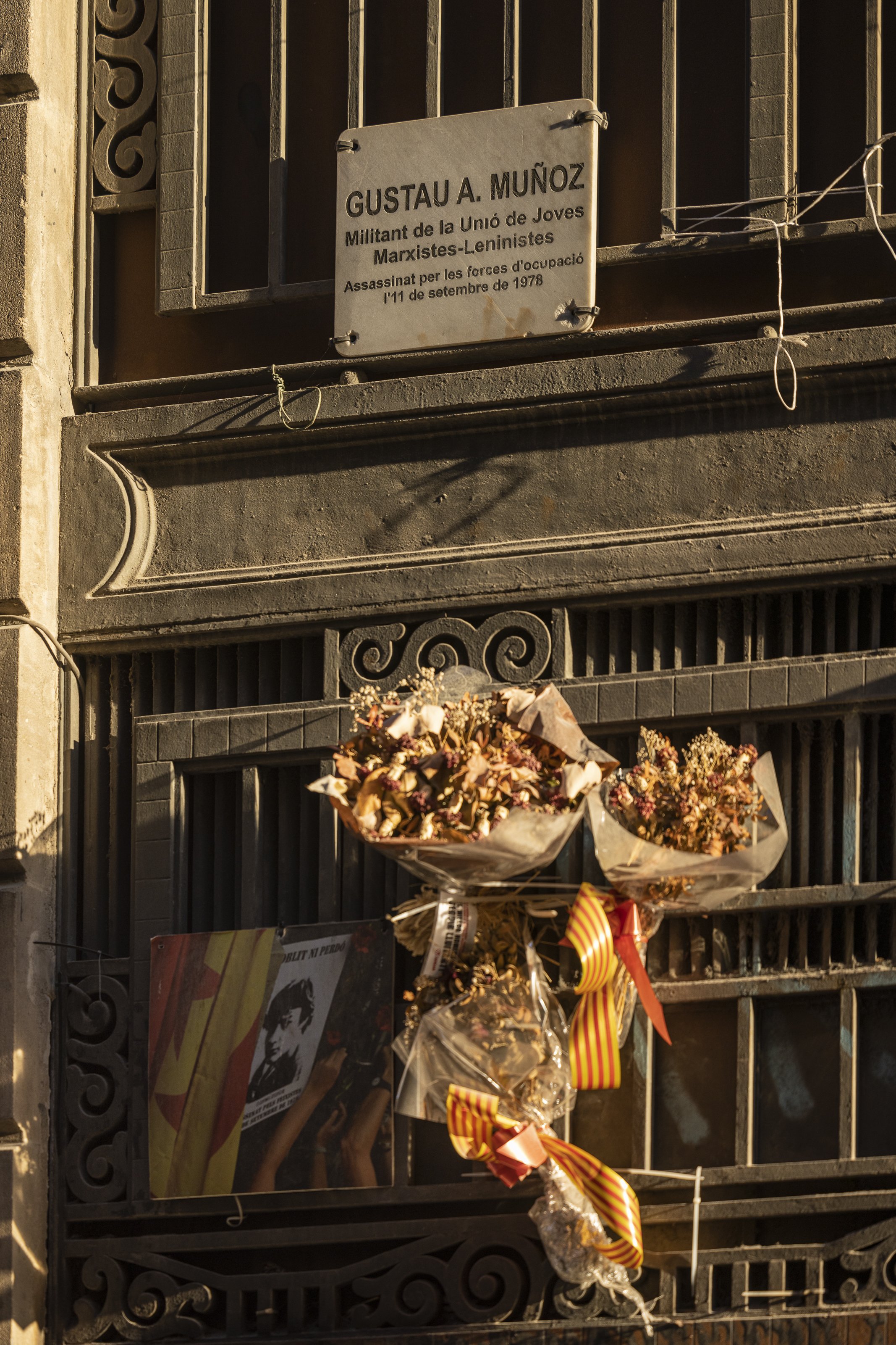 On és la placa en memòria de Gustau Muñoz del carrer Ferran? La família tem que hagi “desaparegut”